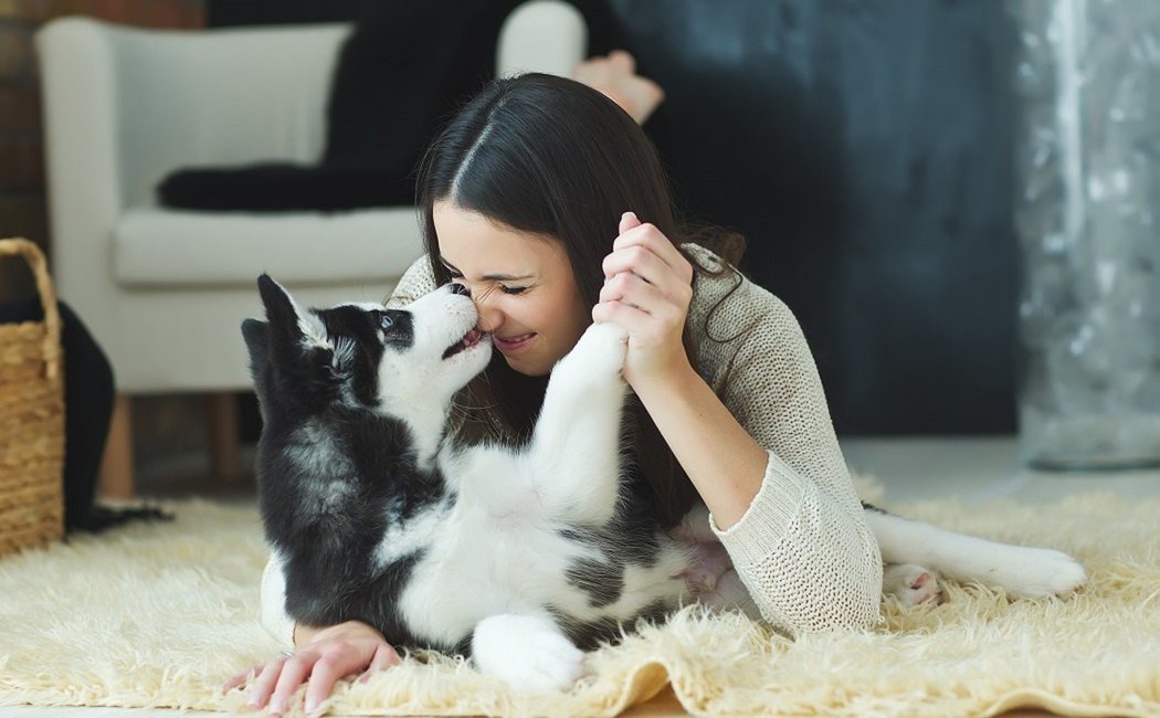 Los perros pueden ayudar a mejorar tu salud mental